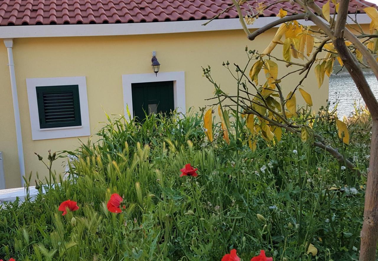 Apartma Aria